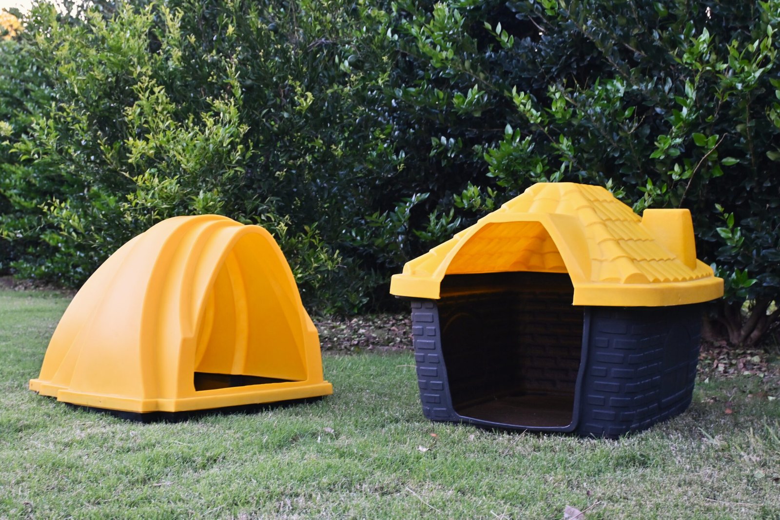 Dos cuchas grandes kennel amarillas rotomoldeadas por plástico
