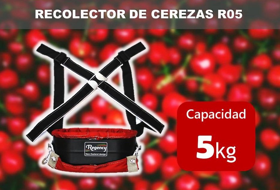 cereceros